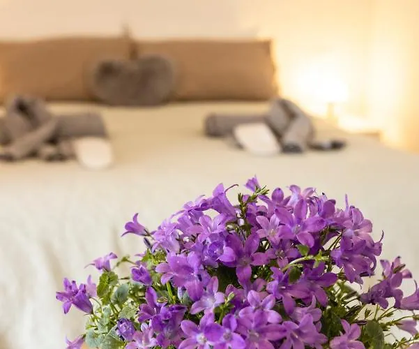 Borgoroma - Business &